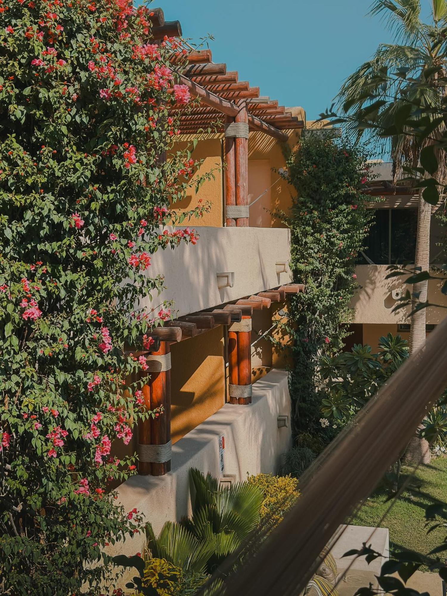 Patios 4*