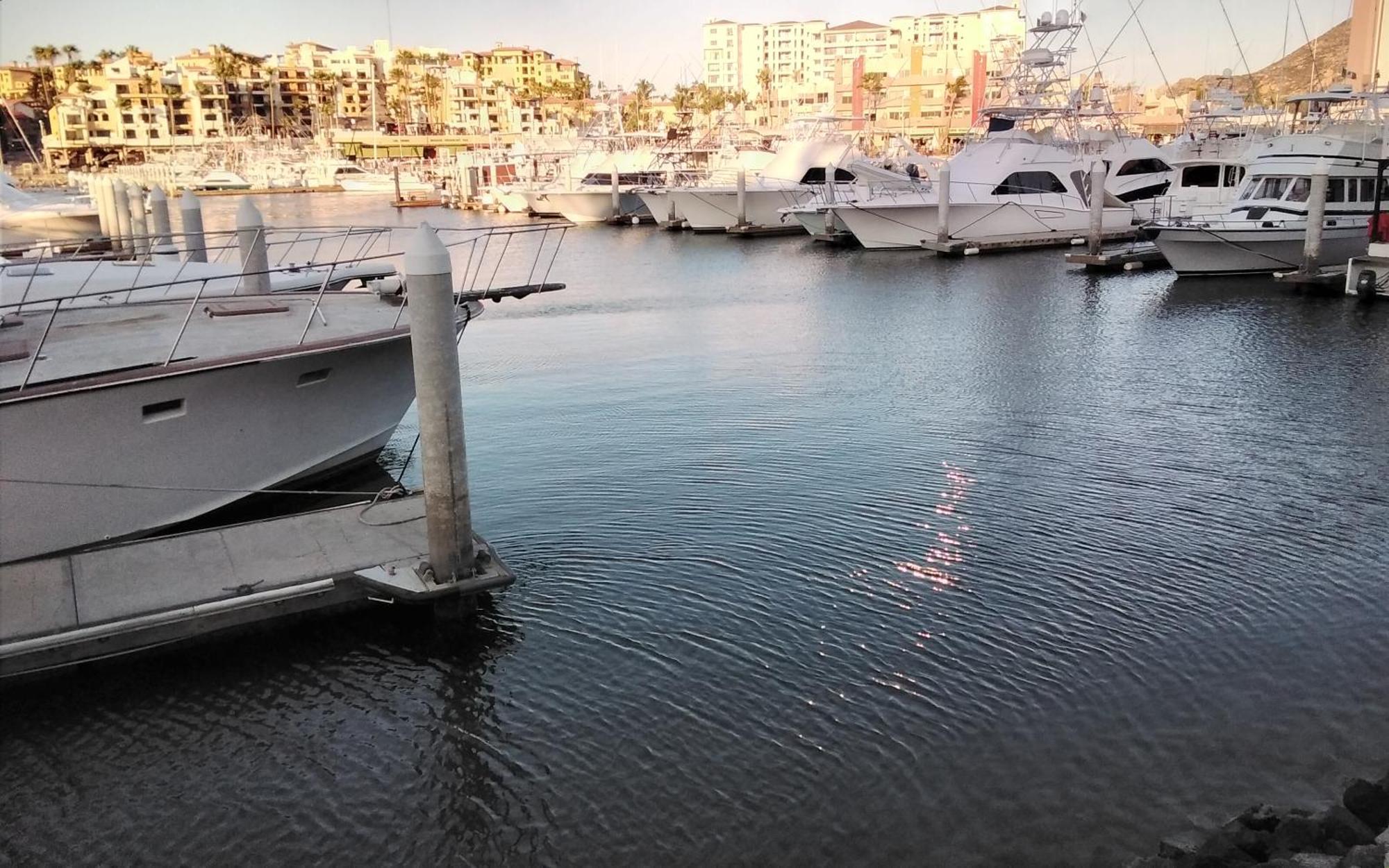 Marina Junior Suite & View *