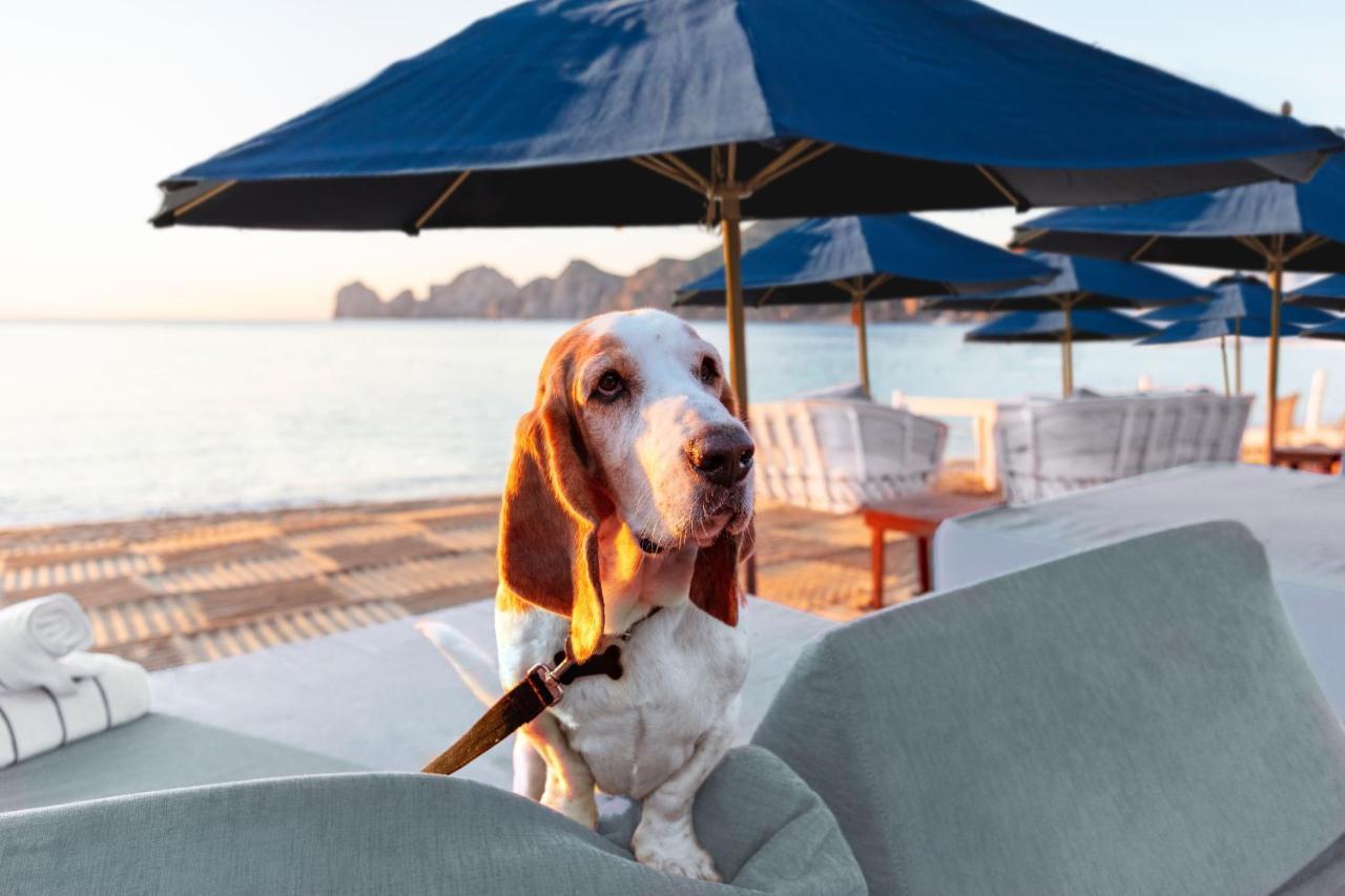 Hotel Corazon Cabo, A Noble House 4*
